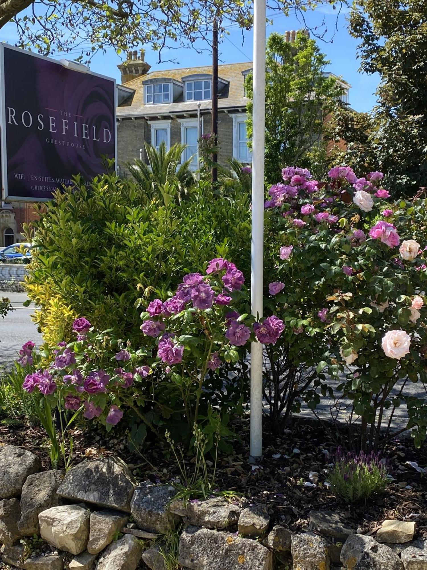 The Rosefield Hotel Weymouth Exterior photo